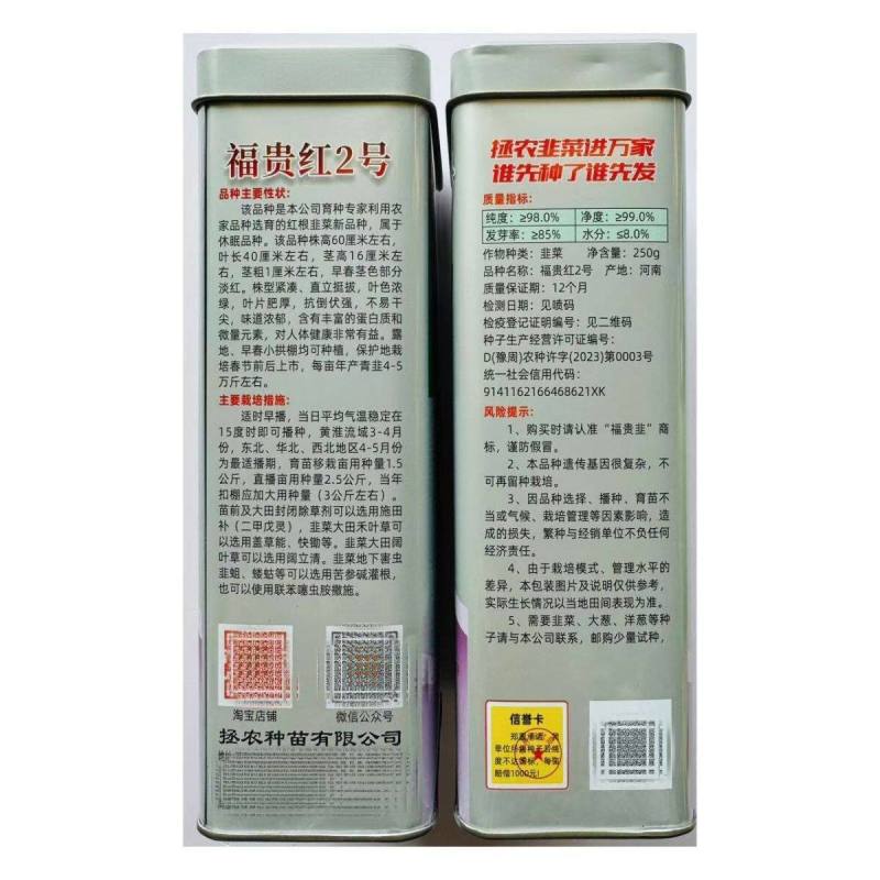 福贵红2号红根韭菜种子厚叶休眠红根韭菜露地早春小拱棚韭菜