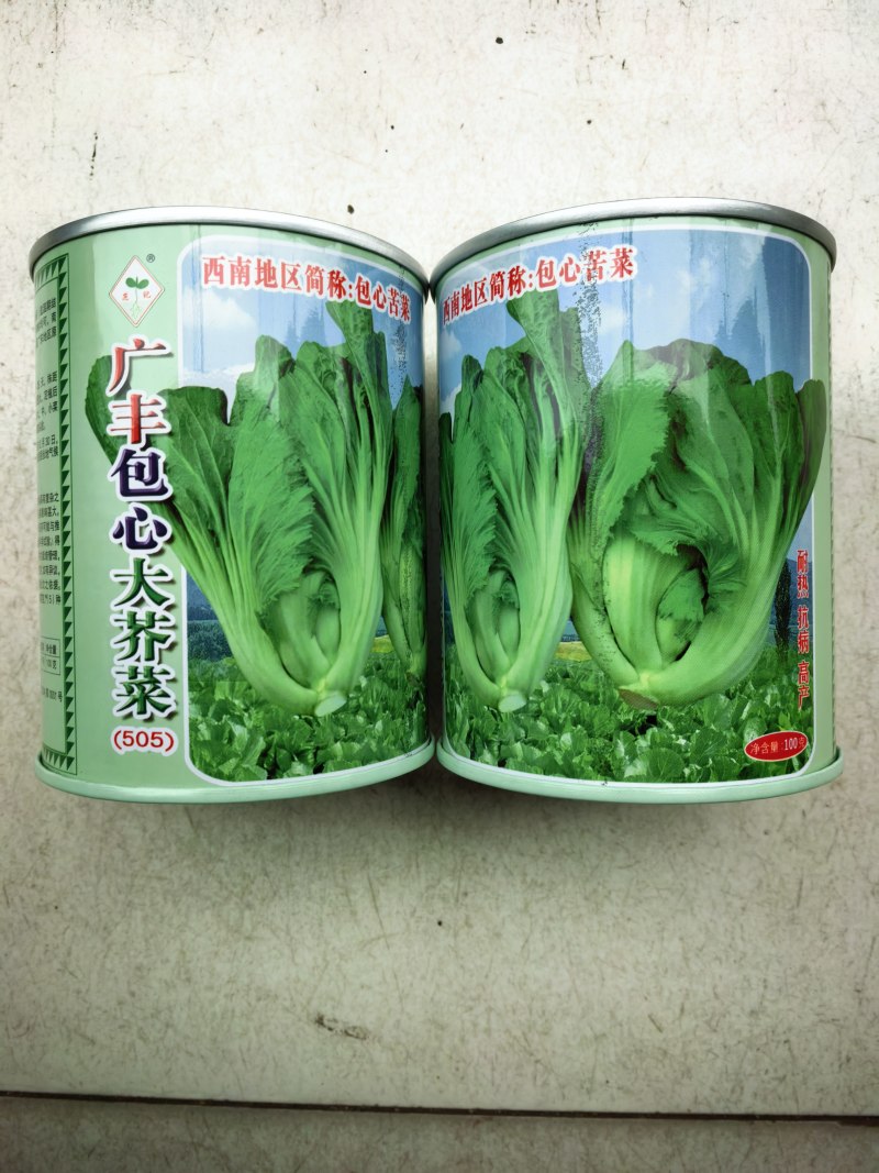 包心芥菜种子耐热耐湿结球腌制包心大芥菜春秋青菜种子