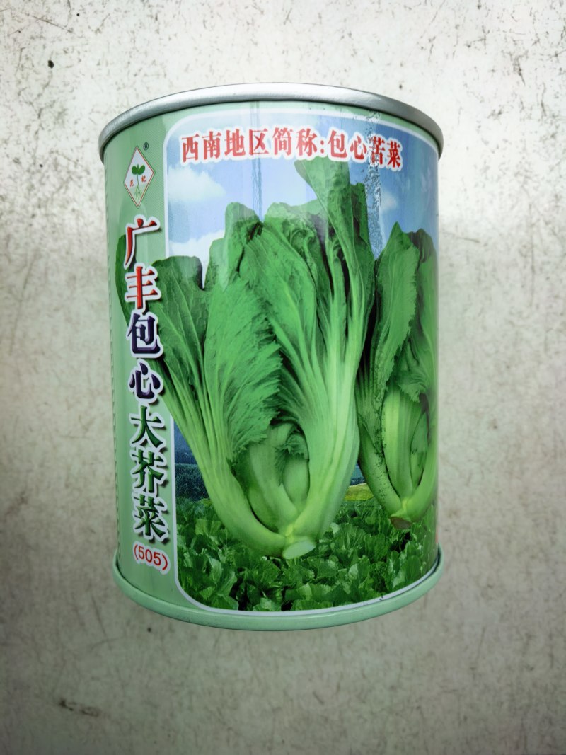 包心芥菜种子耐热耐湿结球腌制包心大芥菜春秋青菜种子