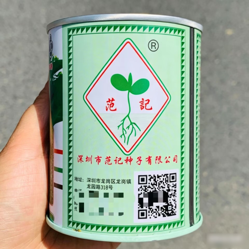包心芥菜种子耐热耐湿结球腌制包心大芥菜春秋青菜种子