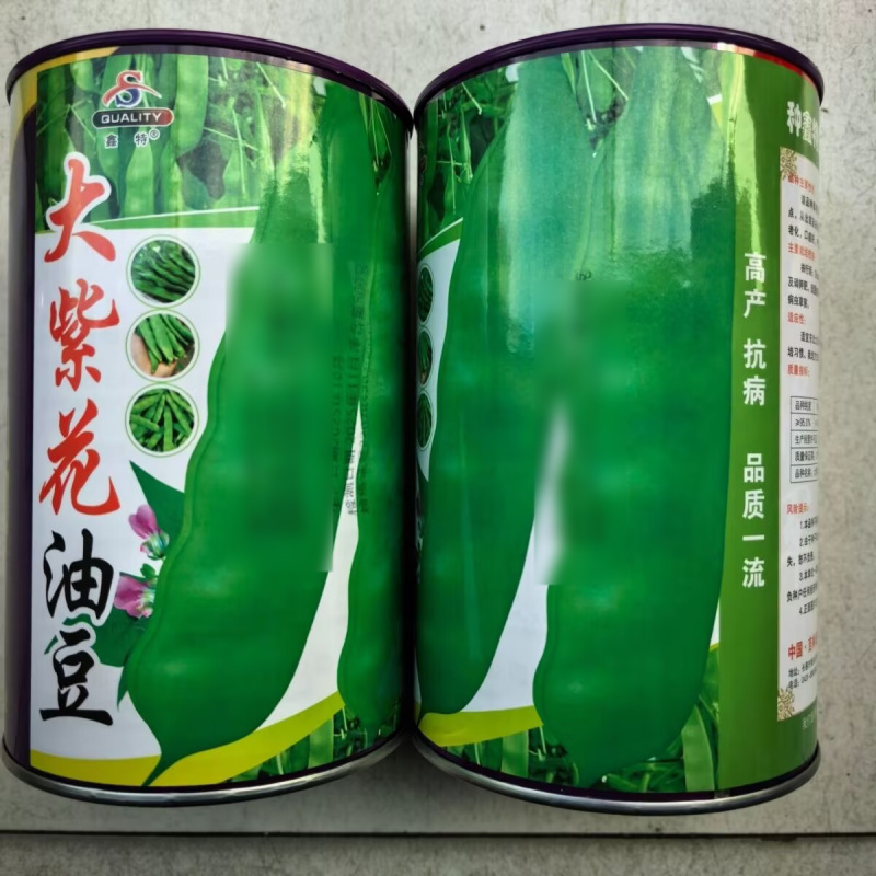 大紫花油豆种子东北无筋大油豆角宽荚早熟高产春秋宽扁豆角种