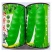 大紫花油豆种子东北无筋大油豆角宽荚早熟高产春秋宽扁豆角种