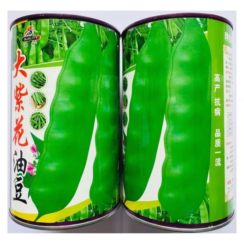 大紫花油豆种子东北无筋大油豆角宽荚早熟高产春秋宽扁豆角种