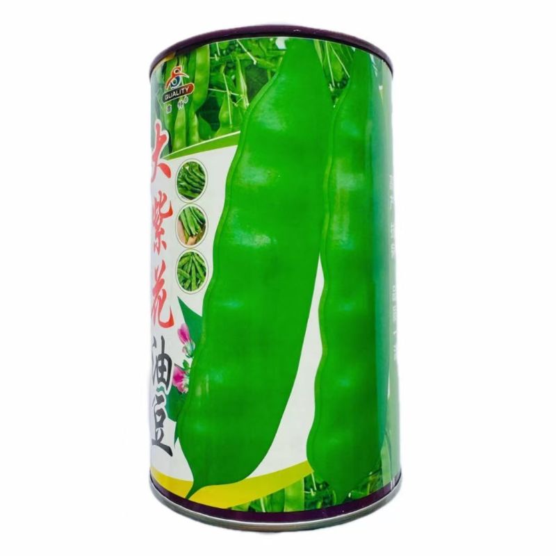 大紫花油豆种子东北无筋大油豆角宽荚早熟高产春秋宽扁豆角种
