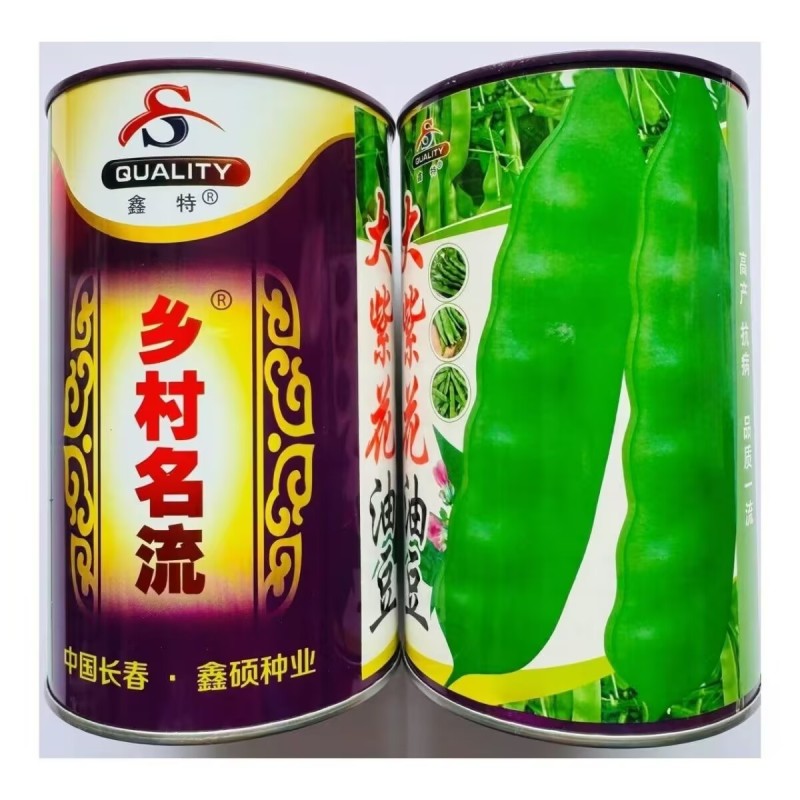 大紫花油豆种子东北无筋大油豆角宽荚早熟高产春秋宽扁豆角种