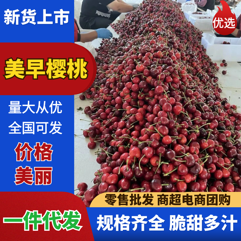 【美早大樱桃】山东樱桃/对接一件代发～电商平台～商超团购