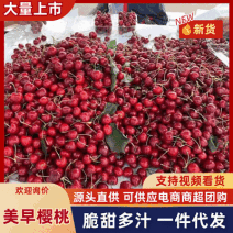 【一件代发】美早樱桃/山东樱桃/对接电商平台～团购～商超