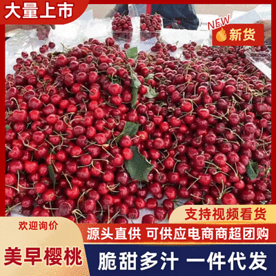 【一件代发】美早樱桃/山东樱桃/对接电商平台～团购～商超