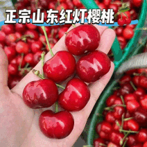 【一件代发】红灯樱桃/山东樱桃/对接电商平台～团购～商超