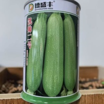 凯帅二号西葫芦种子高产翠绿耐热角瓜菜瓜种子春夏秋500粒