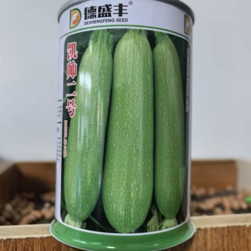 凯帅二号西葫芦种子高产翠绿耐热角瓜菜瓜种子春夏秋500粒