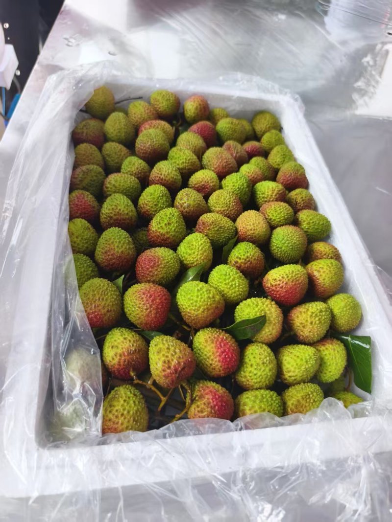 广东茂名精品妃子笑荔枝产地发货大量有货高品质