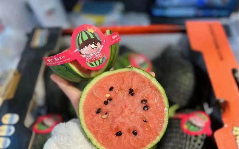 精品小糖丸西瓜手撕小西瓜全国发货保质保量包熟包甜