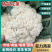 精品松花菜河北花菜白面青梗散花有机花菜代发全国
