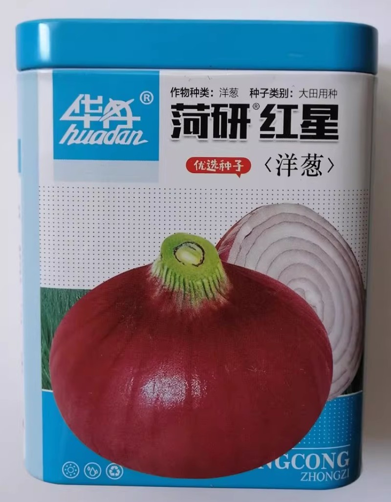 菏研红星洋葱种子口感甜脆辣味适中耐寒圆葱大田红皮洋葱种籽