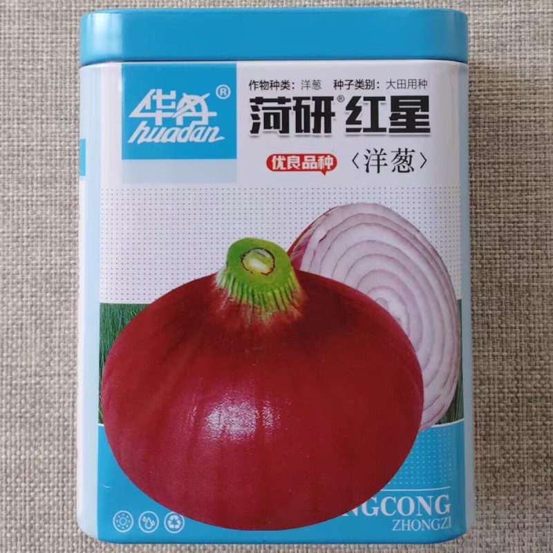 菏研红星洋葱种子口感甜脆辣味适中耐寒圆葱大田红皮洋葱种籽