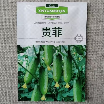 水果黄瓜种子强雌短棒嫩绿油亮春秋贵妃黄瓜种籽口感脆甜高产