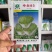 中白83白菜种子中晚熟秋季大白菜种籽叶球平头矮桩叠抱抗病