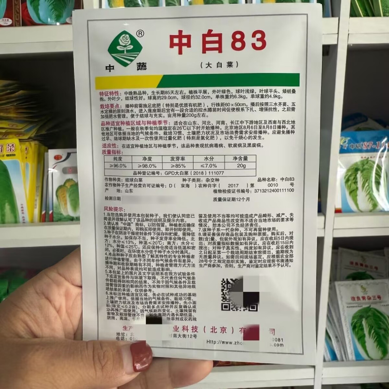 中白83白菜种子中晚熟秋季大白菜种籽叶球平头矮桩叠抱抗病
