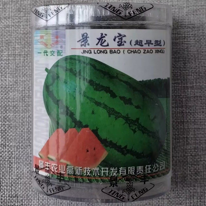 景龙宝西瓜种子果型美观椭圆甜美多汁抗病高产绿龙西瓜种籽