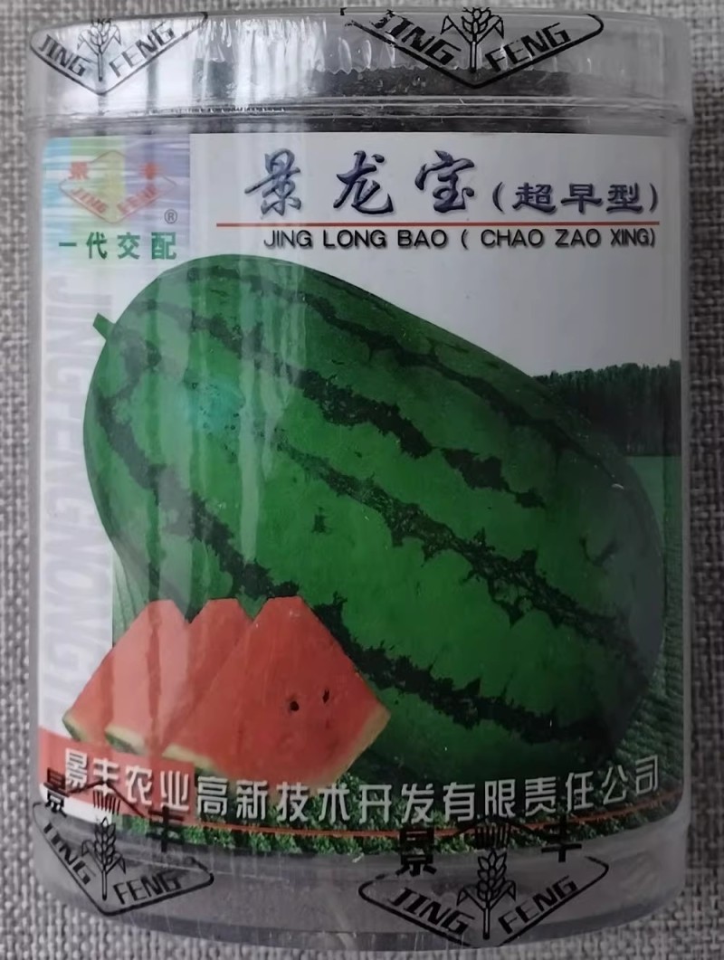 景龙宝西瓜种子果型美观椭圆甜美多汁抗病高产绿龙西瓜种籽