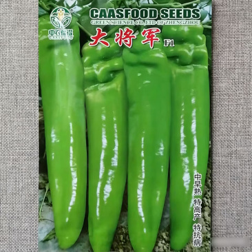 大将军辣椒种子高产羊角椒黄皮椒种籽早中熟香辣特抗病坐果强