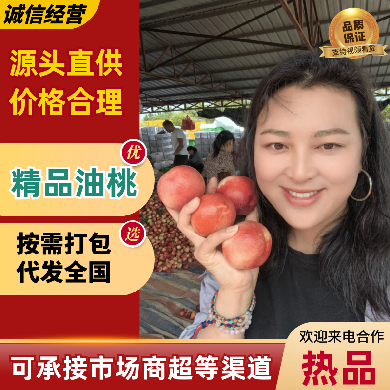 精品油桃（黄肉）:中油系列，金蕾，曙光等可全国代发