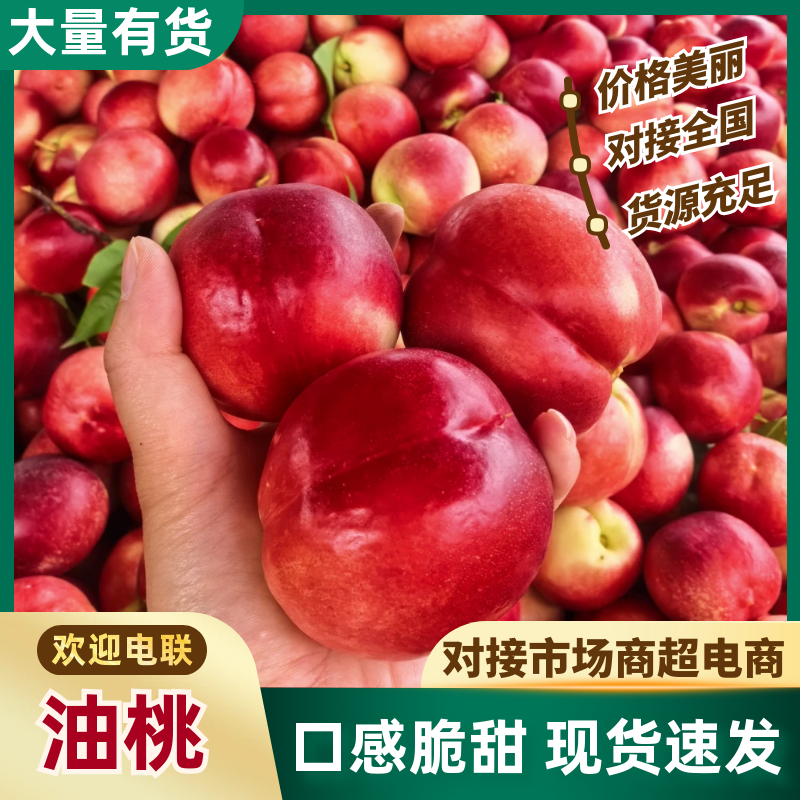 精品油桃（黄肉）:中油系列，金蕾，曙光等可全国代发