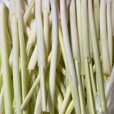 野生茭白心，一手货源，保质保量，诚信经营，可视频看货