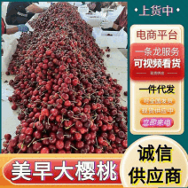 《美早大樱桃》山东樱桃/对接电商平台～商超团购～一件代发