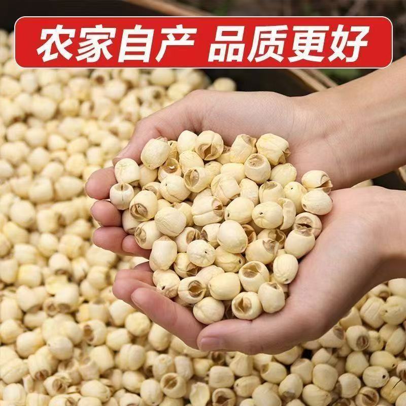 批发价无芯莲子袋装干货土特产莲米粉糯煲汤