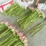 2026鲜切荷花鲜花现采现发，品质保证，坏烂包赔量大从优