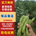 【热卖】蚕豆产地直发保质保量对接电商市场等