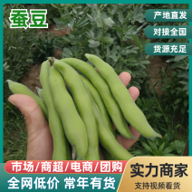 【推荐】蚕豆新鲜直发量大从优按需包装视频看货选货