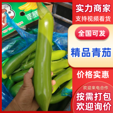 【热卖】青茄茄子产地直发保质保量可实地考察