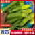 【推荐】青茄精品茄子产地直发表皮光亮保质保量