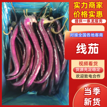 【推荐】线茄精品茄子现货现发视频看货选货量大优惠