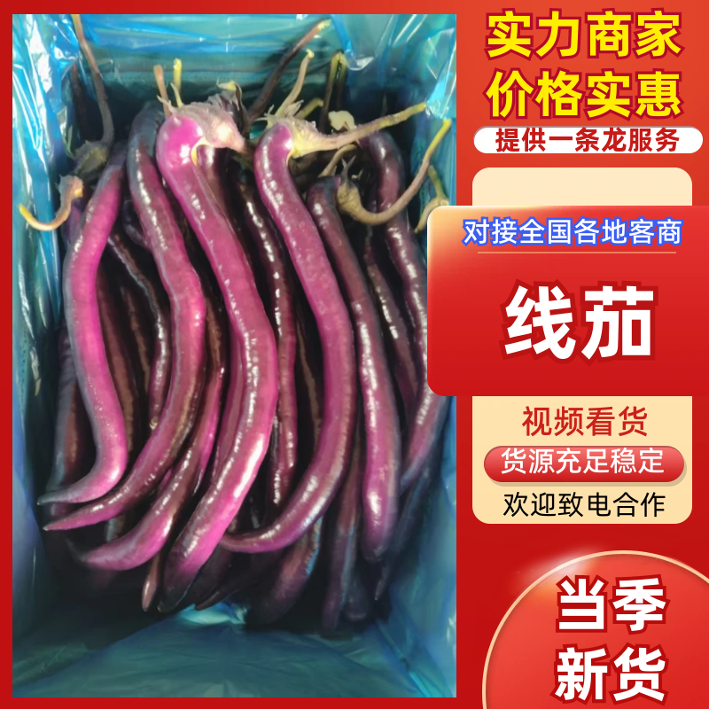 【推荐】线茄精品茄子现货现发视频看货选货量大优惠
