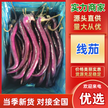 【热卖】线茄精品茄子货源充足视频看货量大从优