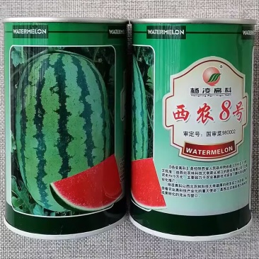西农八号西瓜种子西农8号西瓜种子座果好果型大高产瓤红质细
