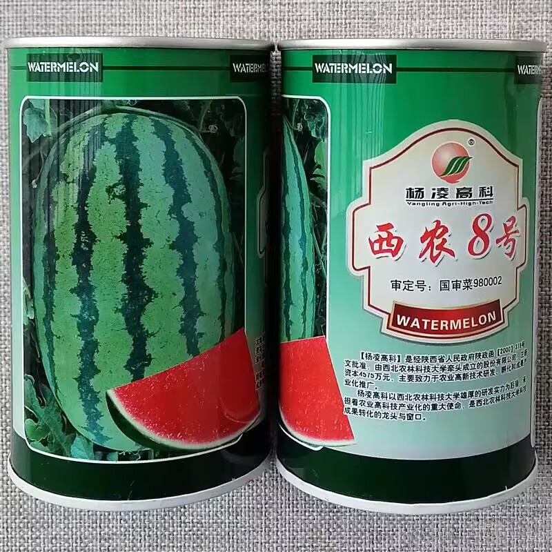 西农八号西瓜种子西农8号西瓜种子座果好果型大高产瓤红质细