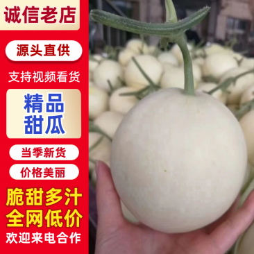 阎良甜瓜陕西甜瓜应季水果，供应商超产地直发