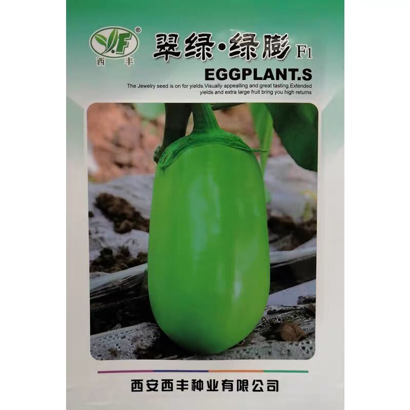 翠绿绿膨茄子种子紫花绿茄种籽早熟青茄种籽油亮膨果快抗性强