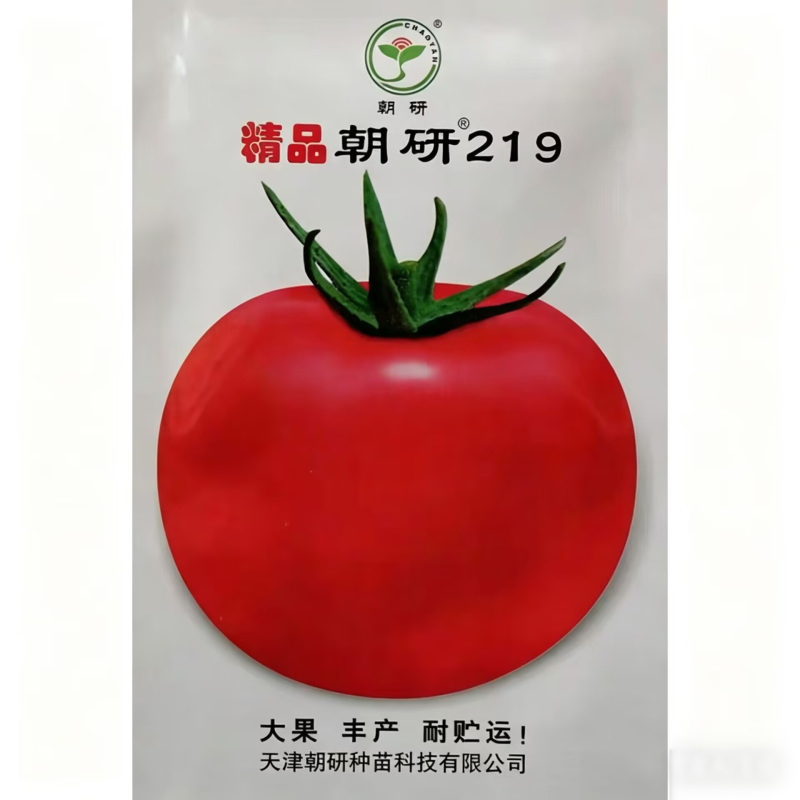 精品朝研219番茄种子提纯复壮果实大硬度高沙瓤粉红果耐贮