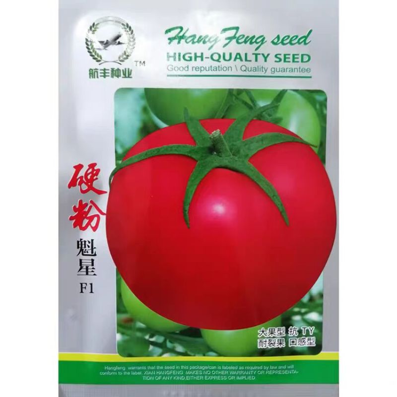 硬粉魁星番茄种子无限生长高产基地大果硬粉番茄西红柿种籽
