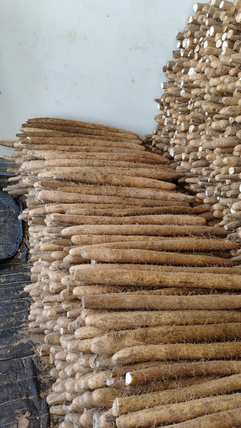 精品白玉山药基地一手货源对接电商市场商超可视频看货