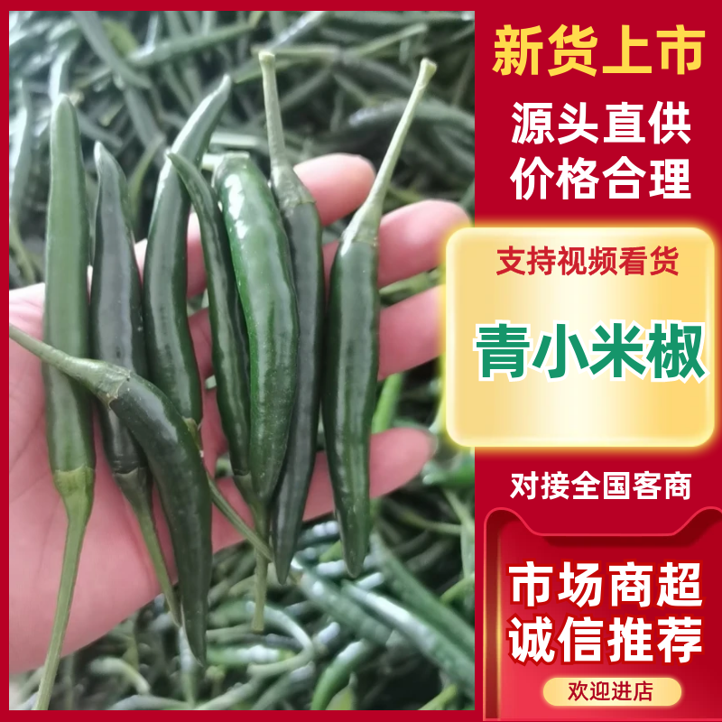 青米椒基地直供，货源充足，价格美丽，全国发货。