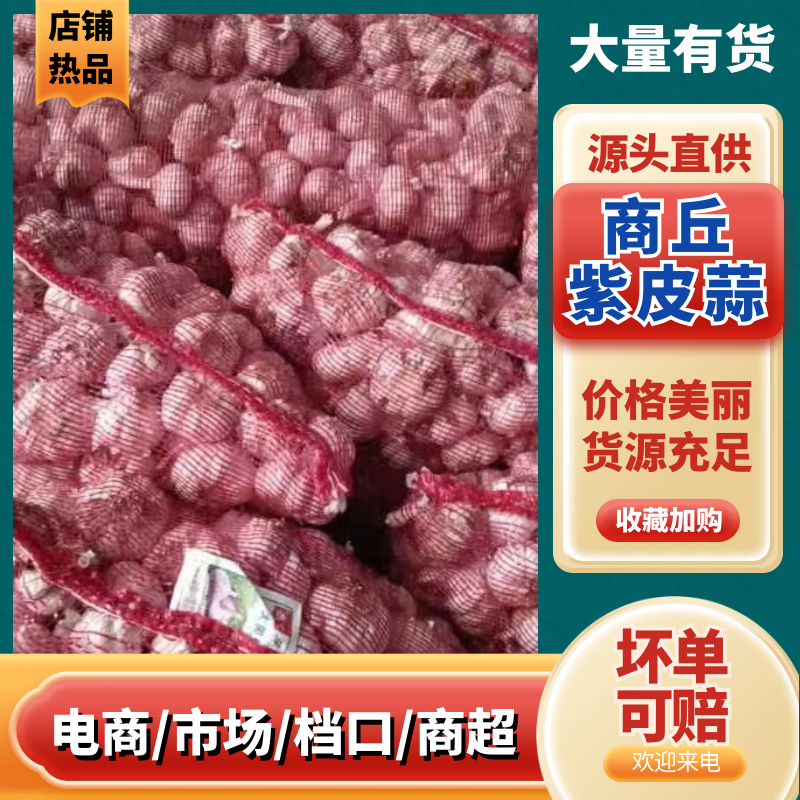 精品扒皮大蒜，大量现货供应，基地直供，货源充足，保质保量