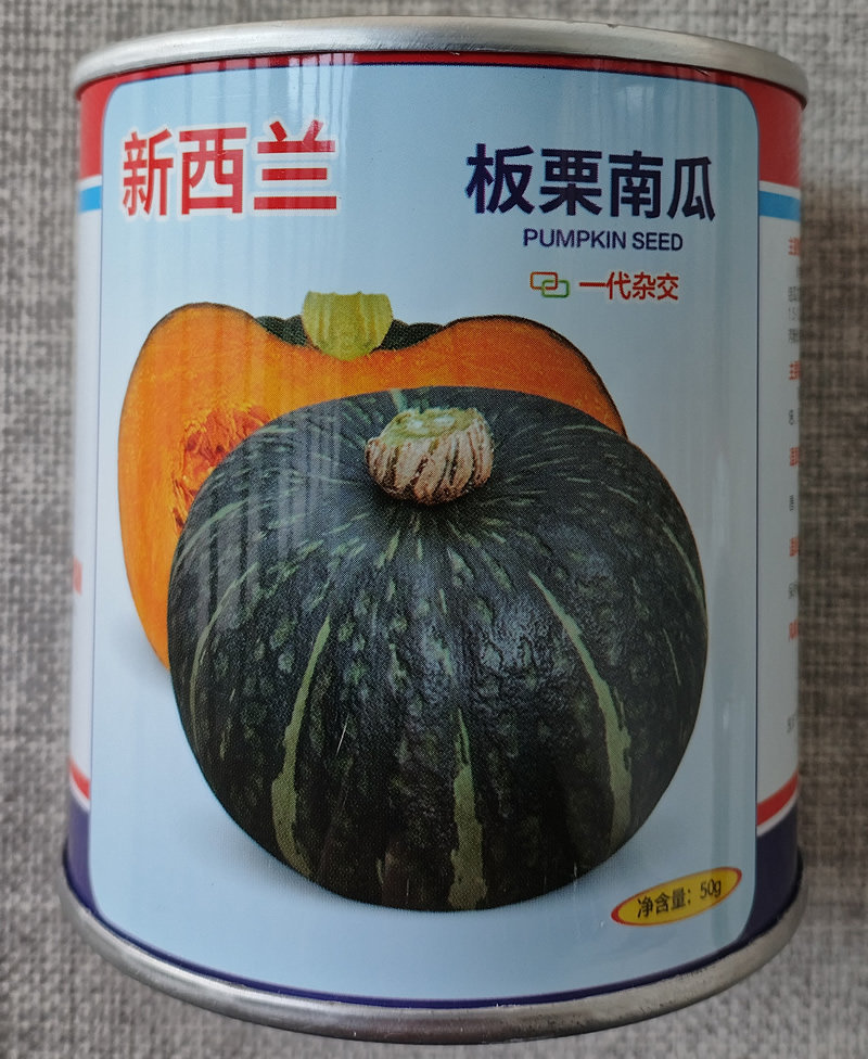 新西兰板栗南瓜种子扁圆型高产杂交果肉金黄肉厚皮薄食味清甜