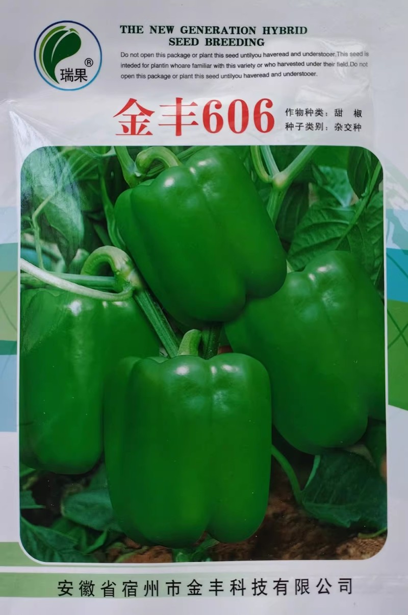金丰606甜椒种子灯笼椒种籽抗病肉厚高产大田菜椒种子早熟
